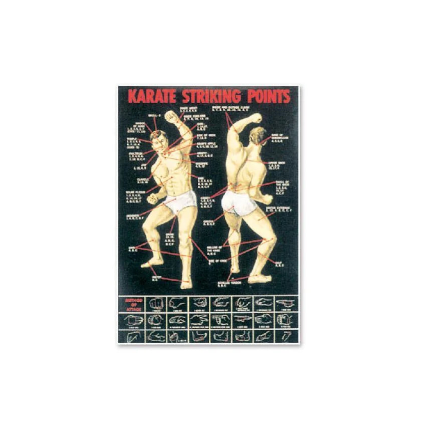 MAR-308 | Bruce Lee Posters - Trophy Accessories