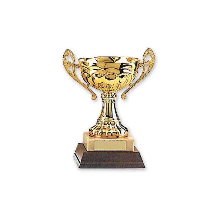 MAR-309 | Gold Plated Metal Trophies - quality-martial-arts