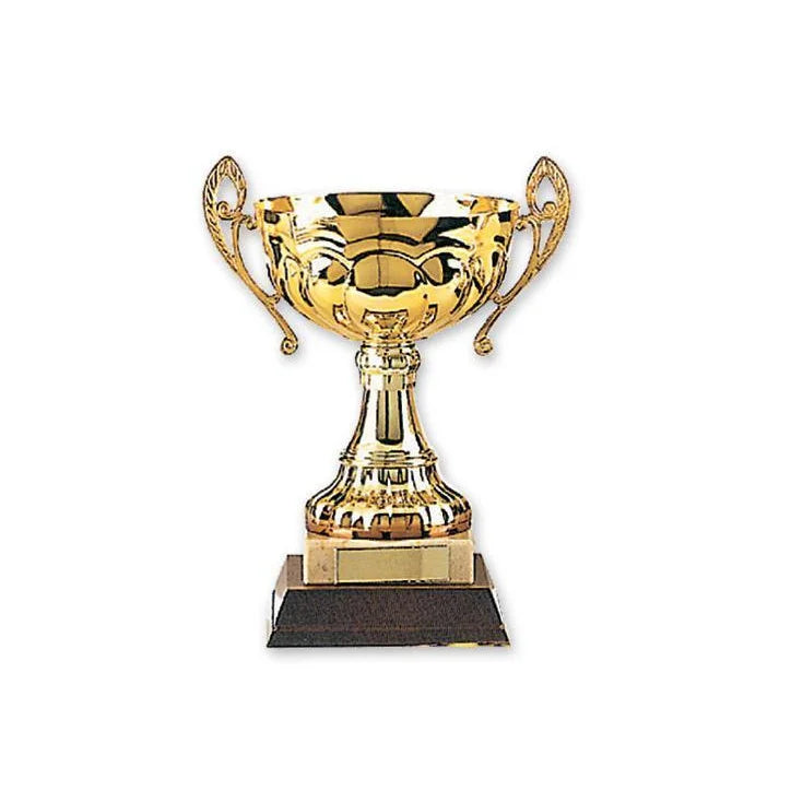 MAR-309 | Gold Plated Metal Trophies - quality-martial-arts