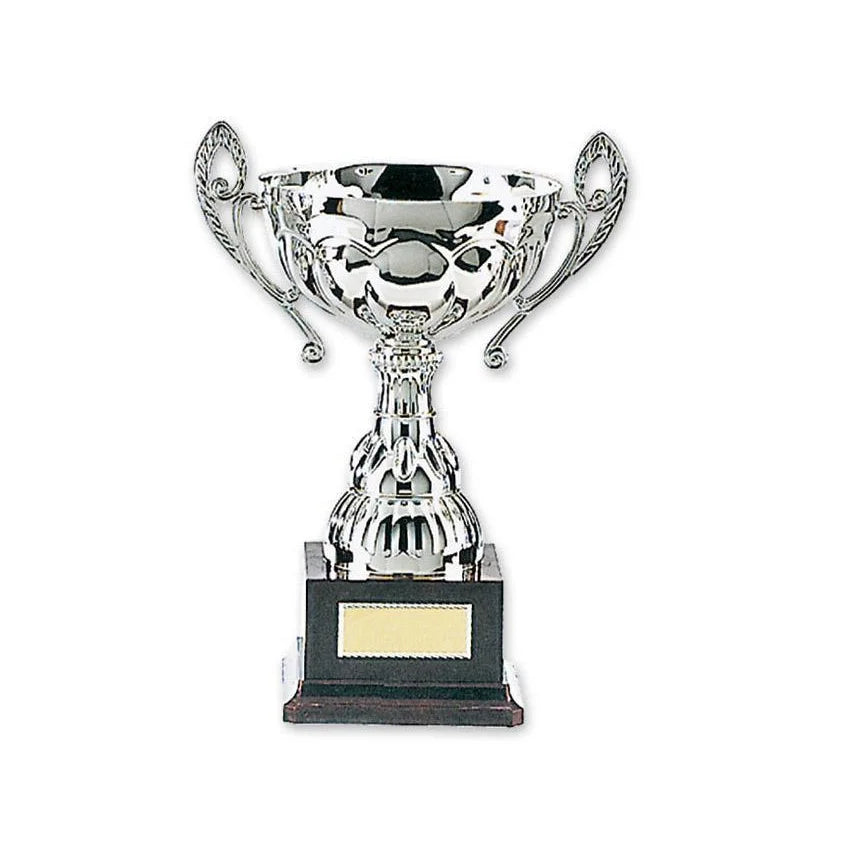 MAR-312 | Silver Plated Metal Trophy - quality-martial-arts