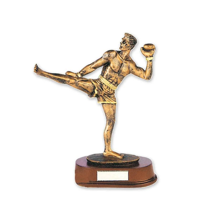 MAR-323 | Kickboxing Trophy Award - quality-martial-arts