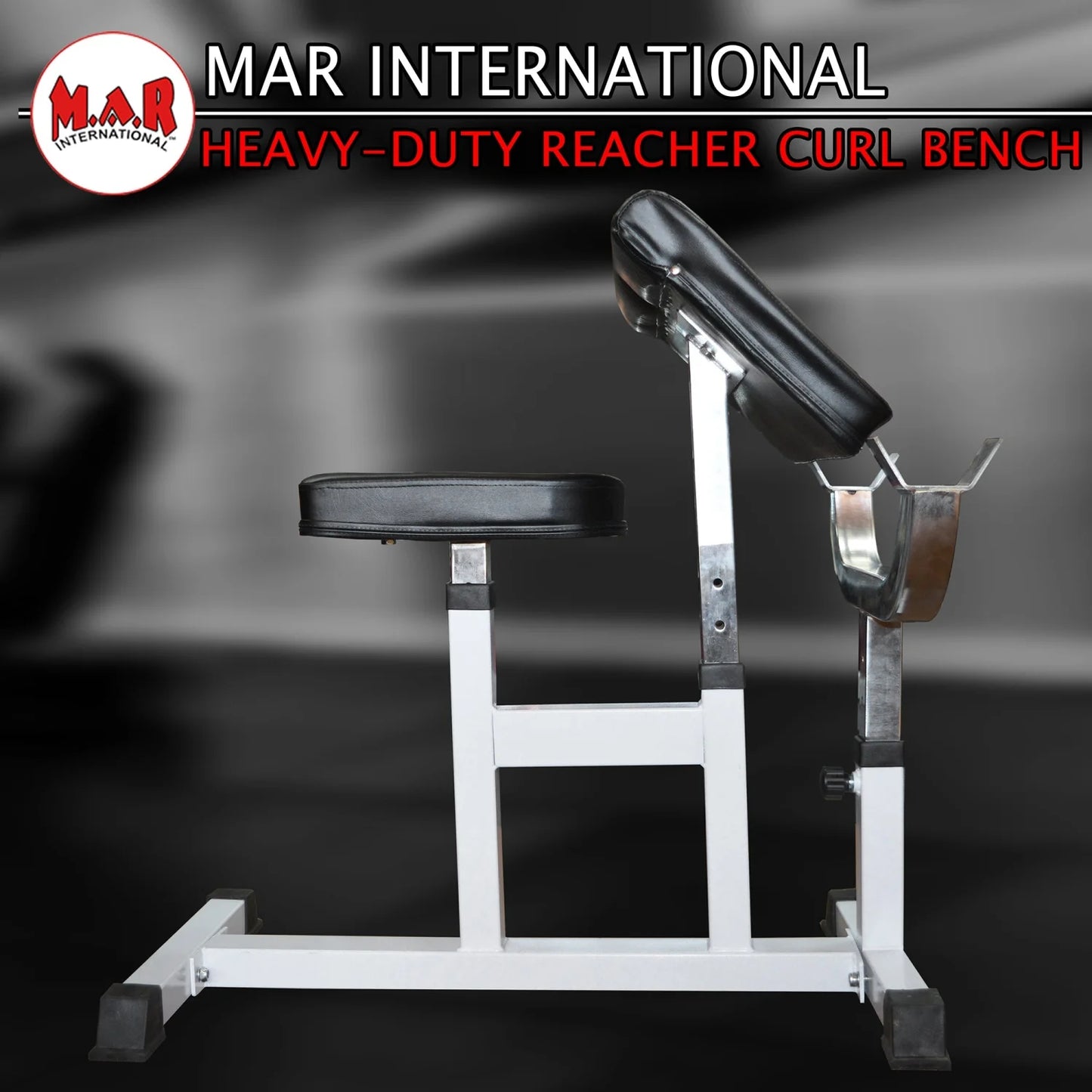 MAR-346 | Preacher Curl Bench - Benches (1B)