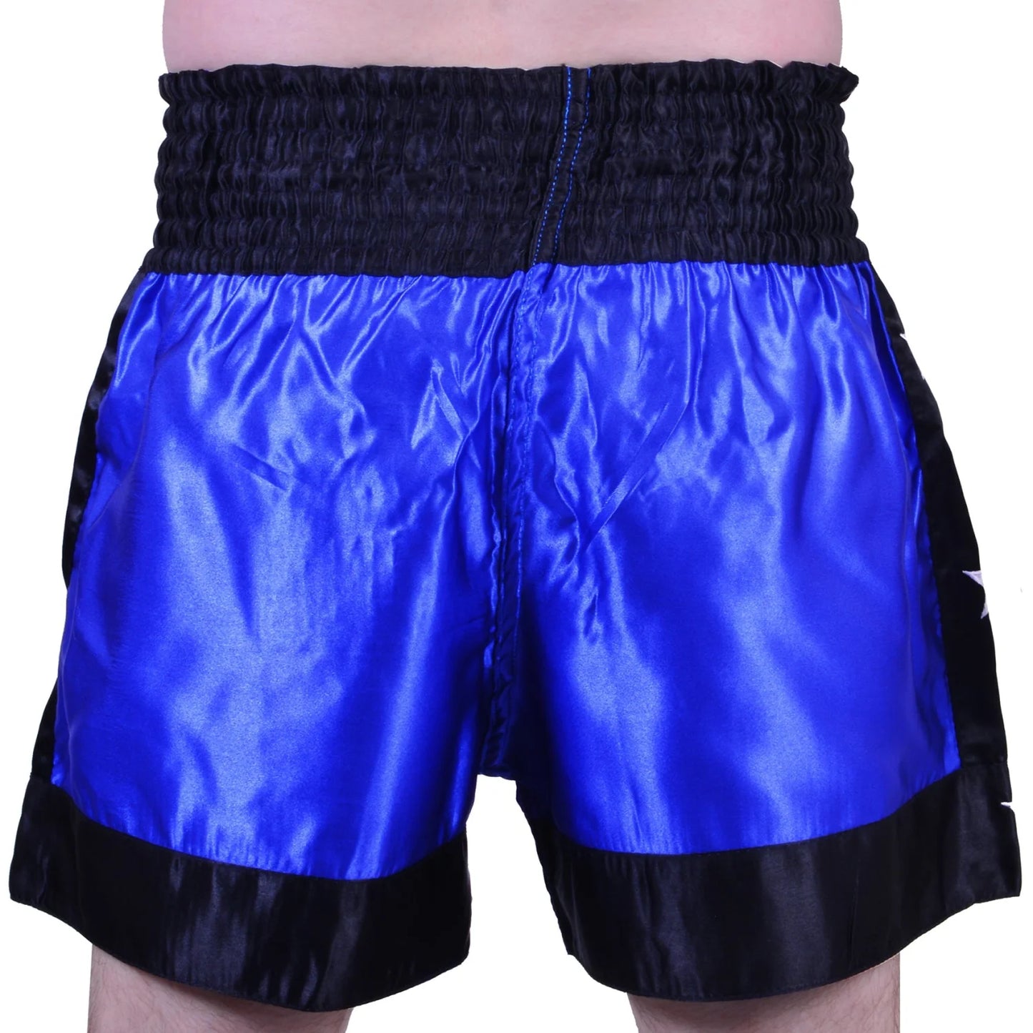 MAR-093 | Kickboxing & Thai Boxing Shorts (E) - Shorts