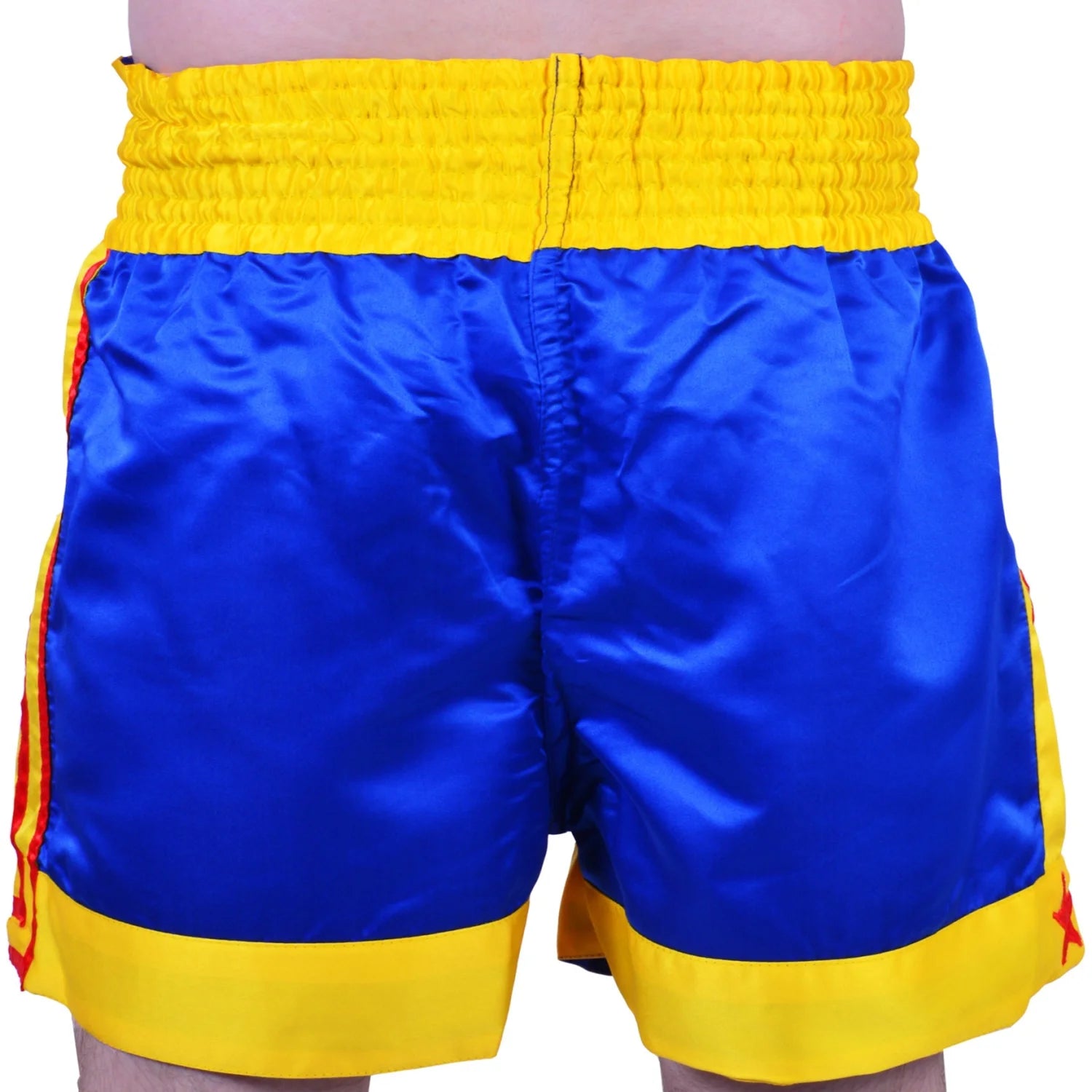 MAR-093 | Kickboxing & Thai Boxing Shorts (G) - Shorts