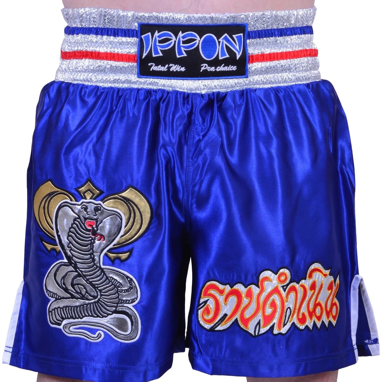 MAR-095E | Blue Kickboxing & K1 Shorts - Shorts
