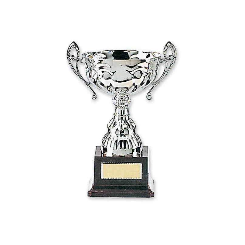 MAR-312 | Silver Plated Metal Trophy - quality-martial-arts