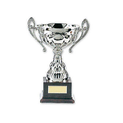 MAR-312 | Silver Plated Metal Trophy - quality-martial-arts