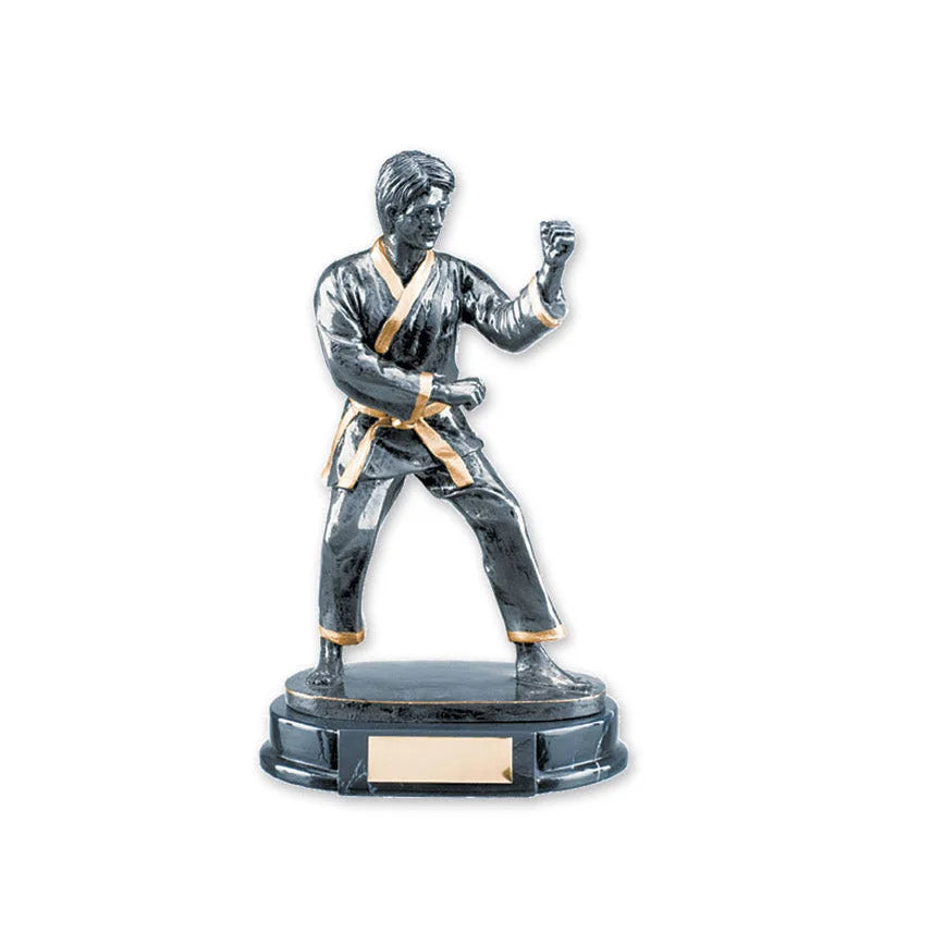 MAR-313 | Male Karate Trophy Award - Trophy Accessories