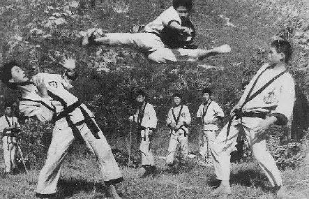 Martial arts demonstration.