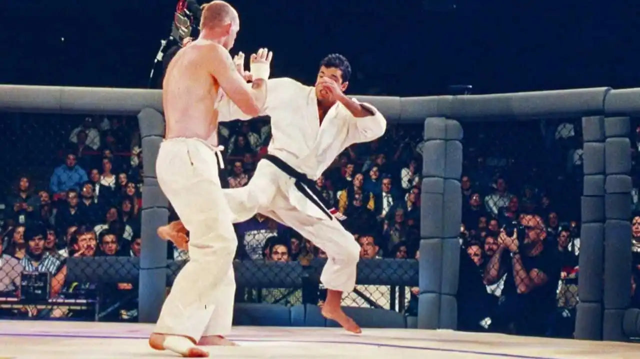 Martial arts fight.