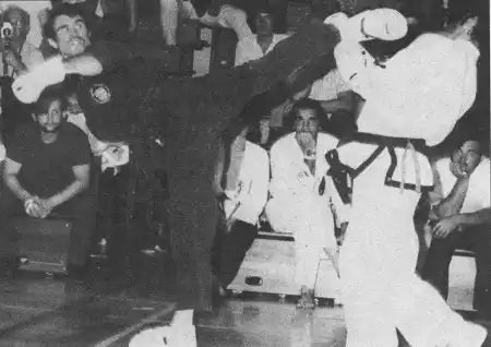 Martial arts kick.